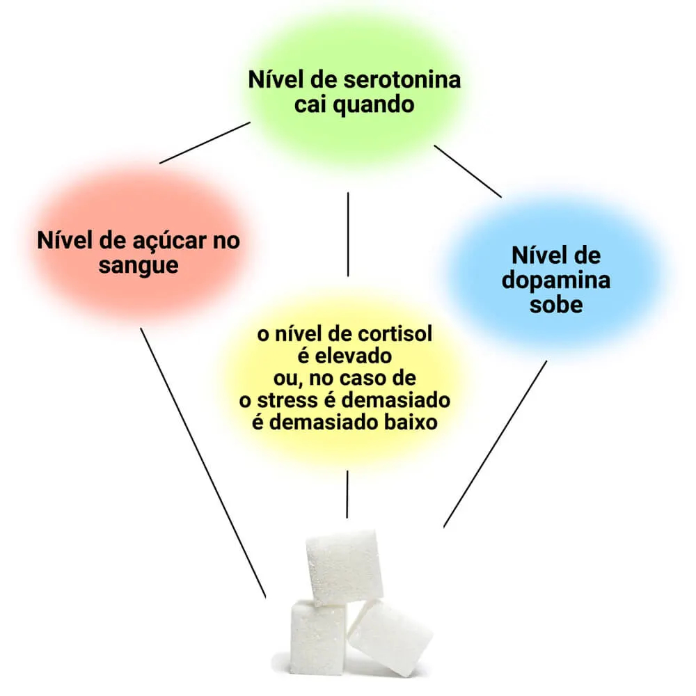 O consumo contínuo de açúcar perturba a interacção dos neurotransmissores e o metabolismo cerebral.