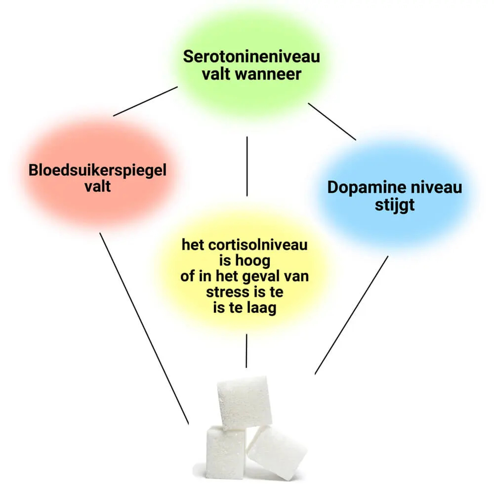 Voortdurende suikerinname verstoort de wisselwerking tussen neurotransmitters en het hersenmetabolisme.