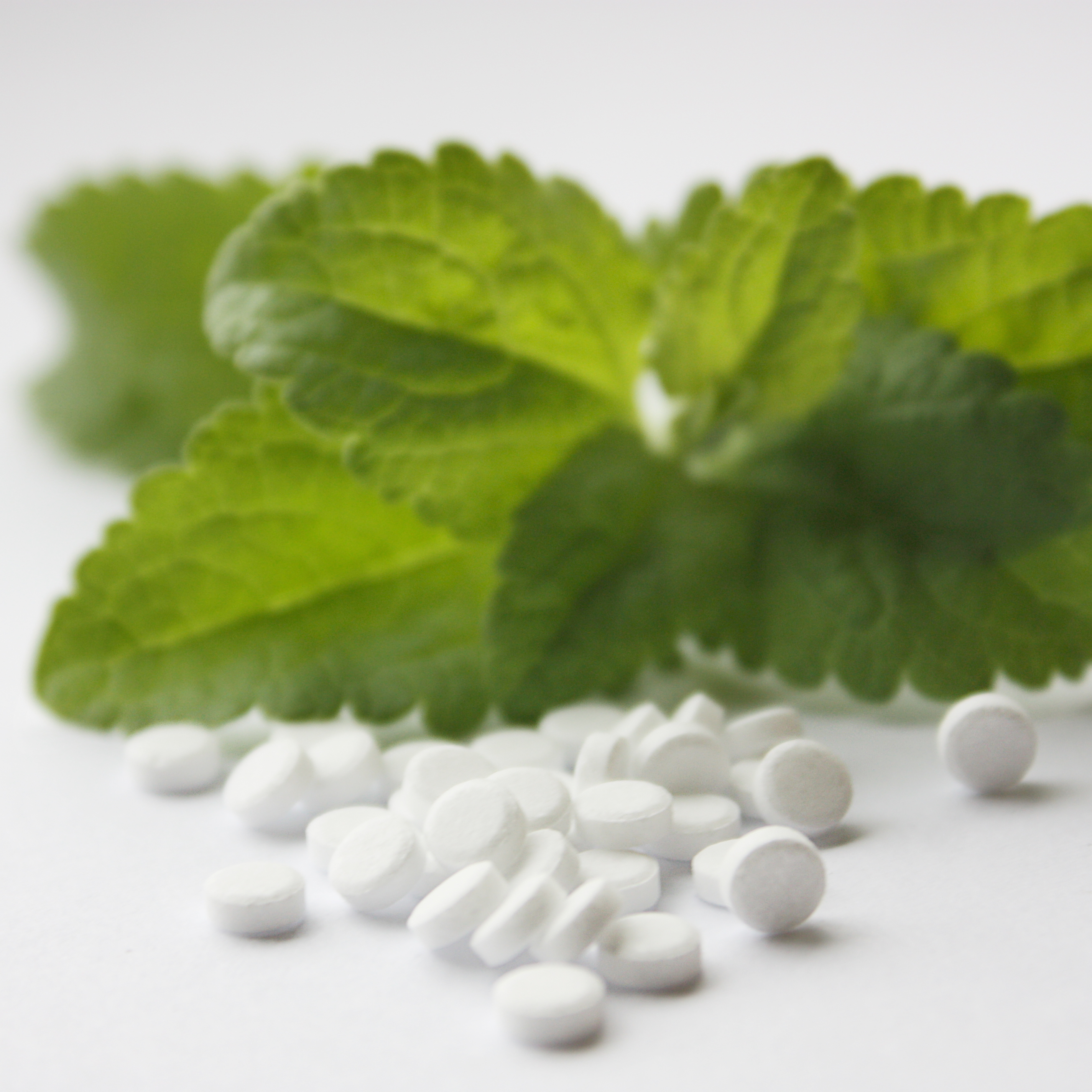De kwaliteit van Stevia zoetstof tabletten en Stevia bladeren