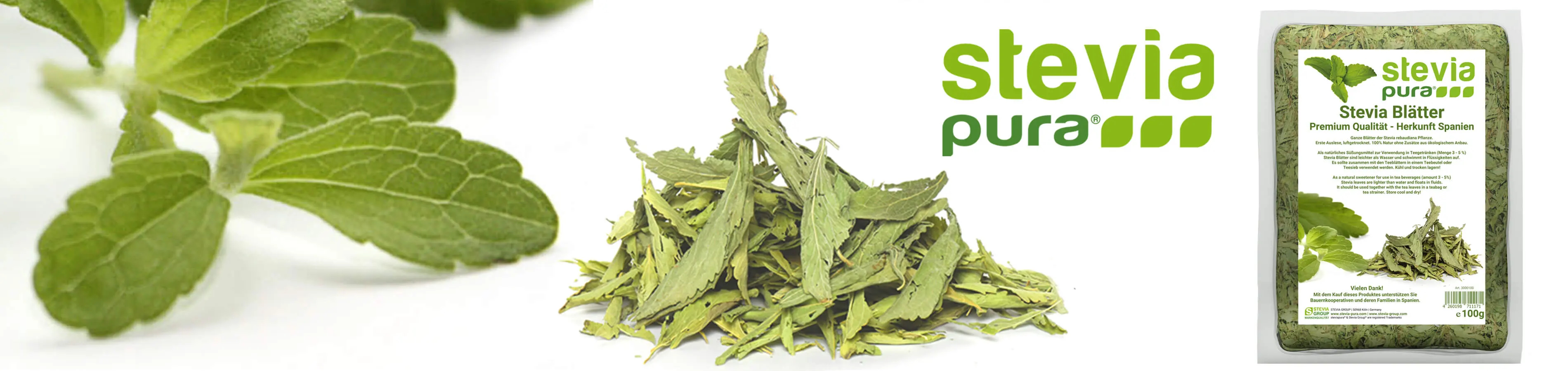 Bio Stevia Blätter kaufen Stevia rebaudiana Blätter grün...