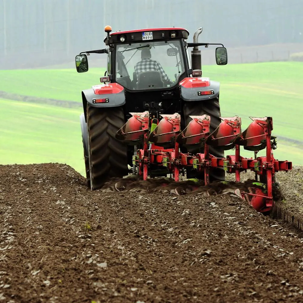 Stevia cultivation in Portugal and Spain