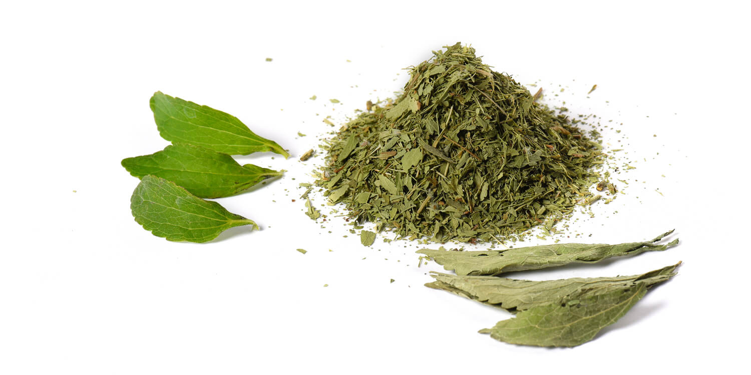 Waardevolle bestanddelen van het Stevia blad: Oliën en eiwitten
