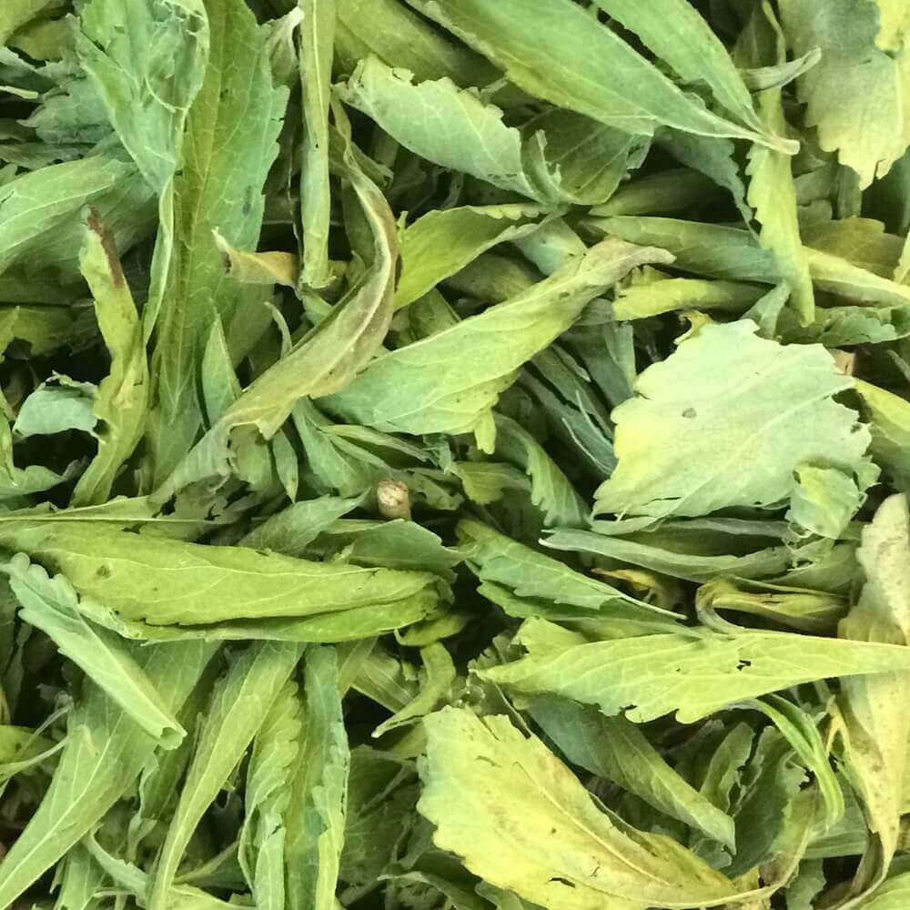  Getrocknete Stevia Blätter | Süßkraut