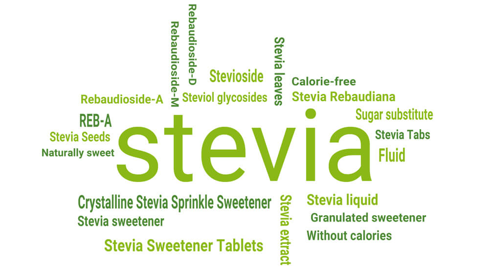 Stevia sweetener as a sugar substitute