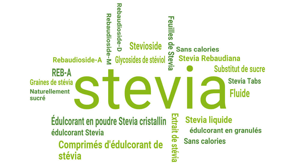 Édulcorant Stevia comme substitut du sucre