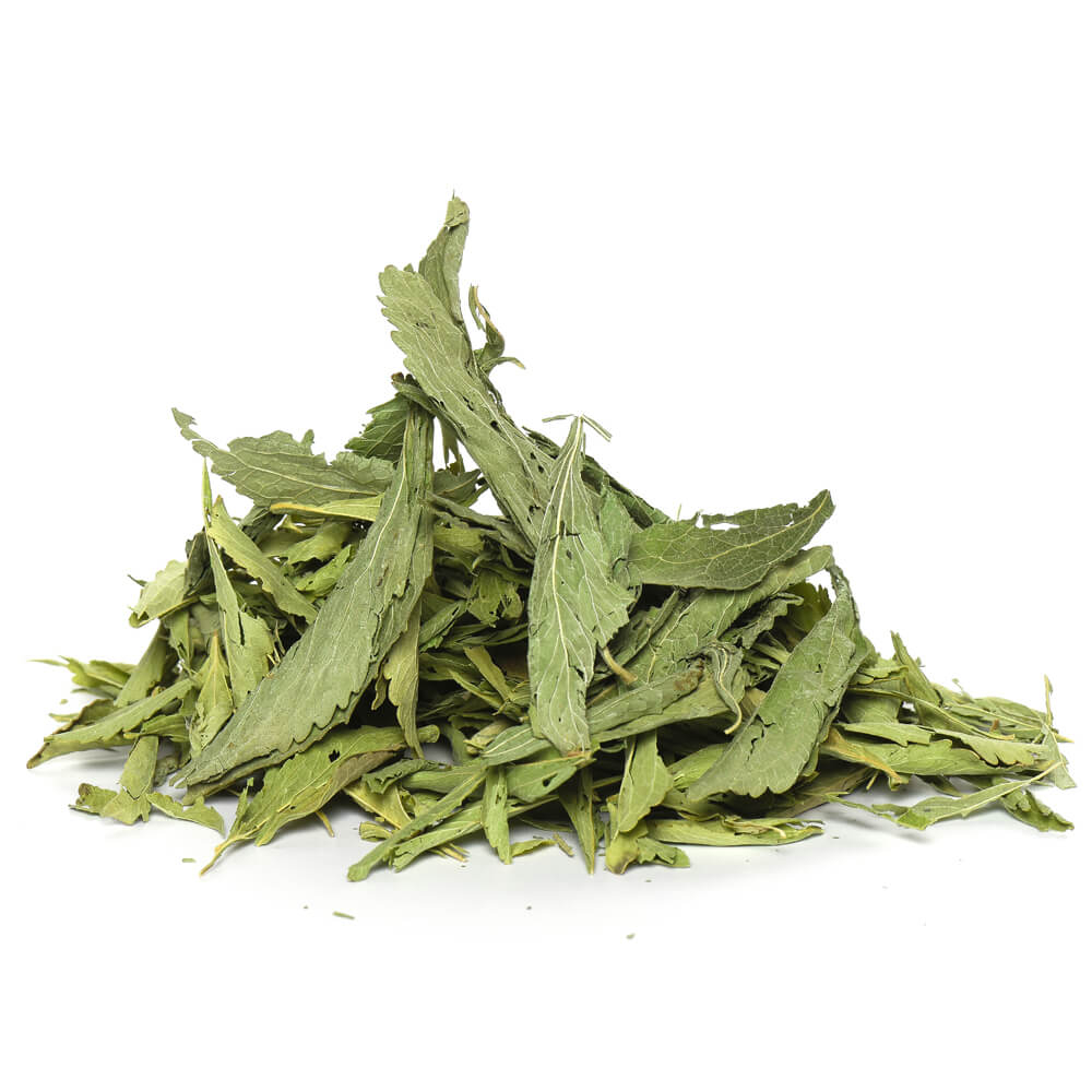 Getrocknete Stevia rebaudiana Blätter