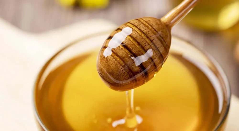 Honig Zuckerersatz Süssungsmittel 