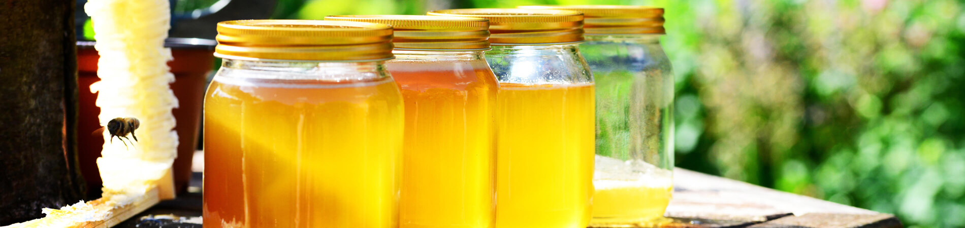 Koop honing van de imker