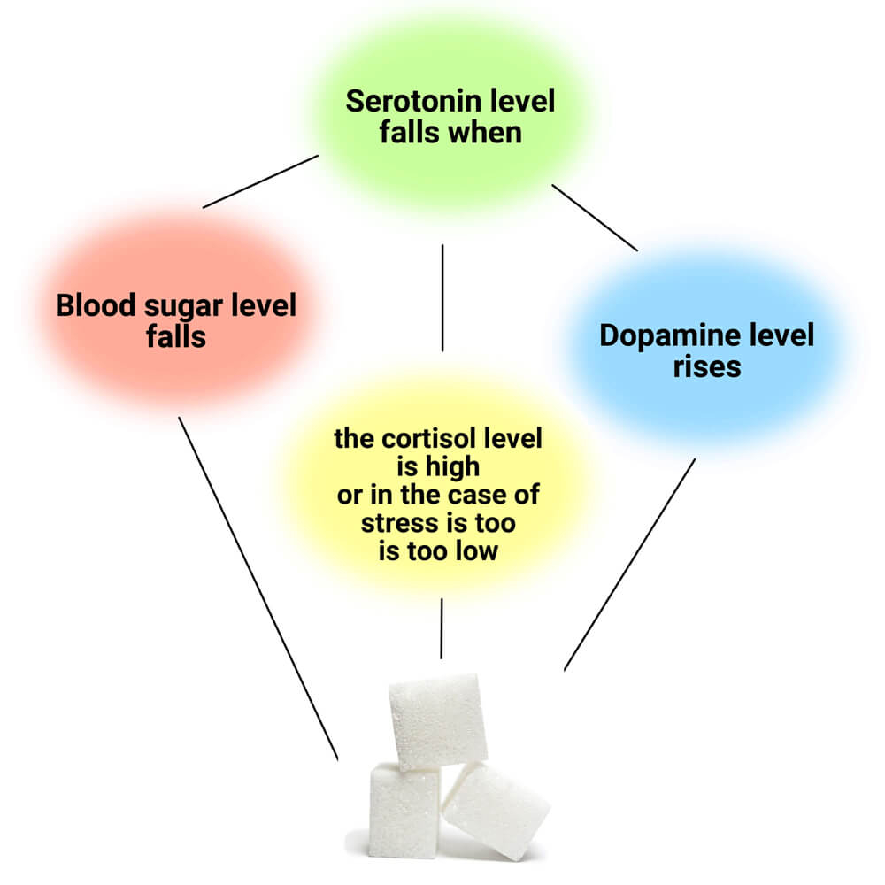 Long-term sugar intake disrupts the interaction of neurotransmitters and brain metabolism