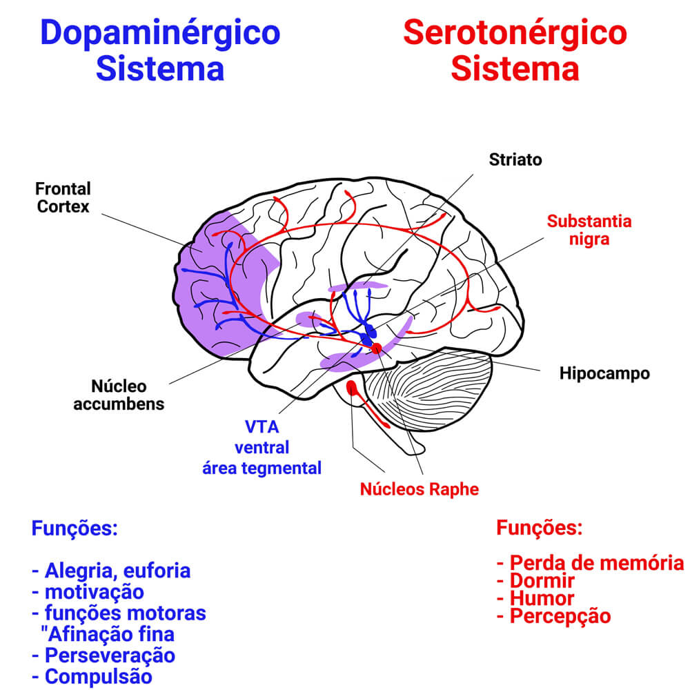 Representação da serotonina e da dopamina no cérebro