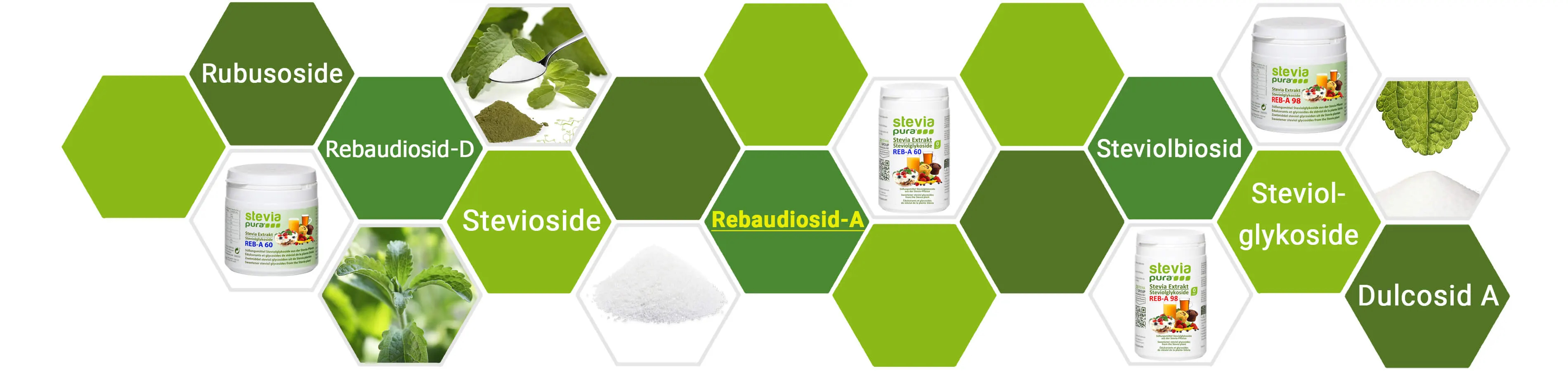 What is Rebaudioside-A? | The sugar substitute Stevia
