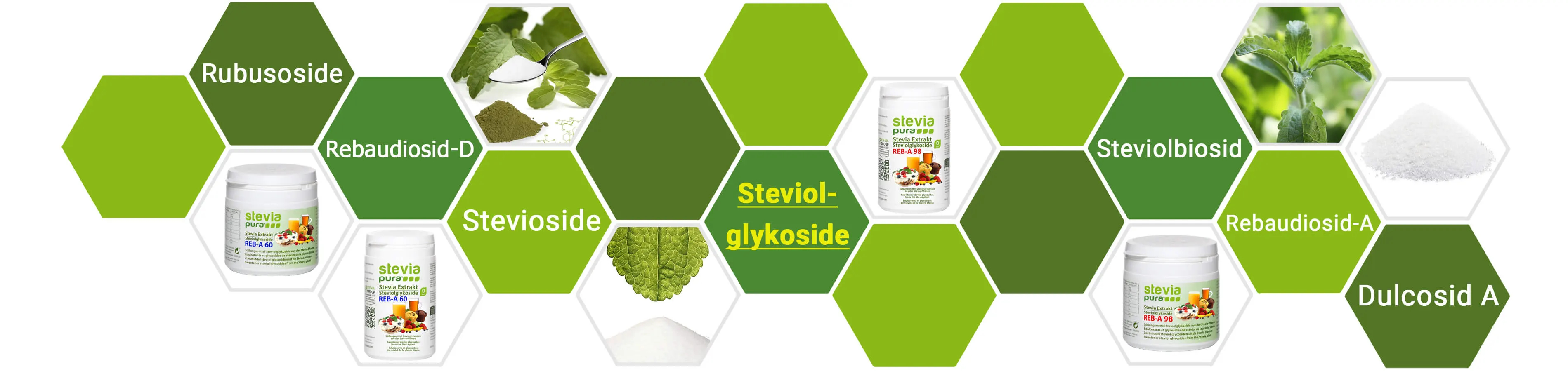 O que são Glicosídeos Steviol? | O substituto do açúcar...