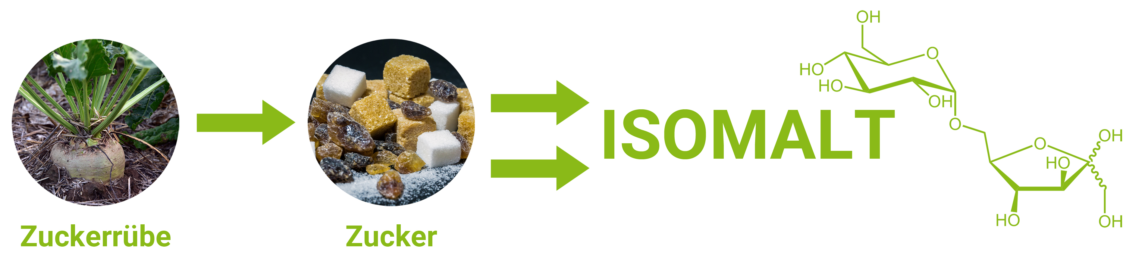 Isomalt is een suikervervanger afgeleid van sacharose. 