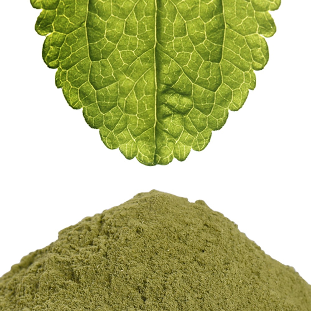 Grünes Stevia-Pulver aus gemahlenen Blättern