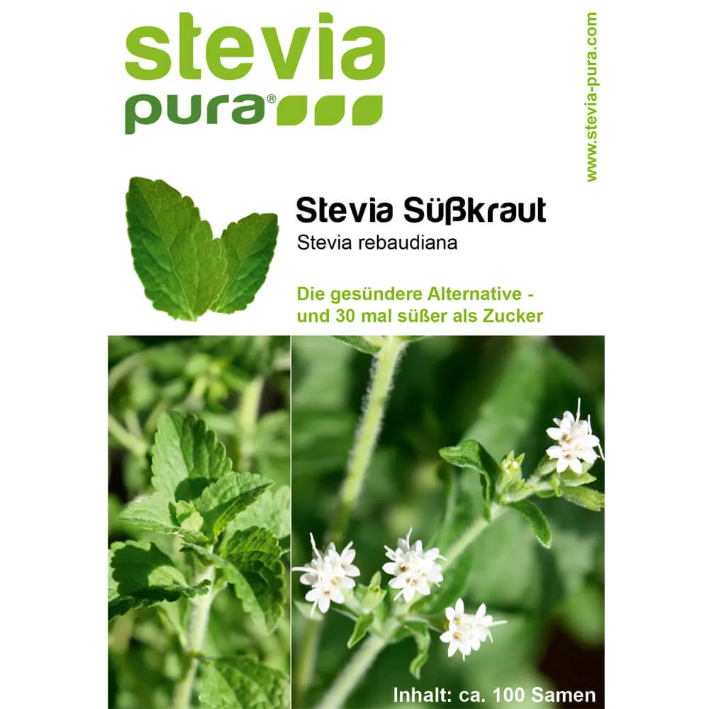 Stevia aus Samen ziehen: Schritt für Schritt Anleitung