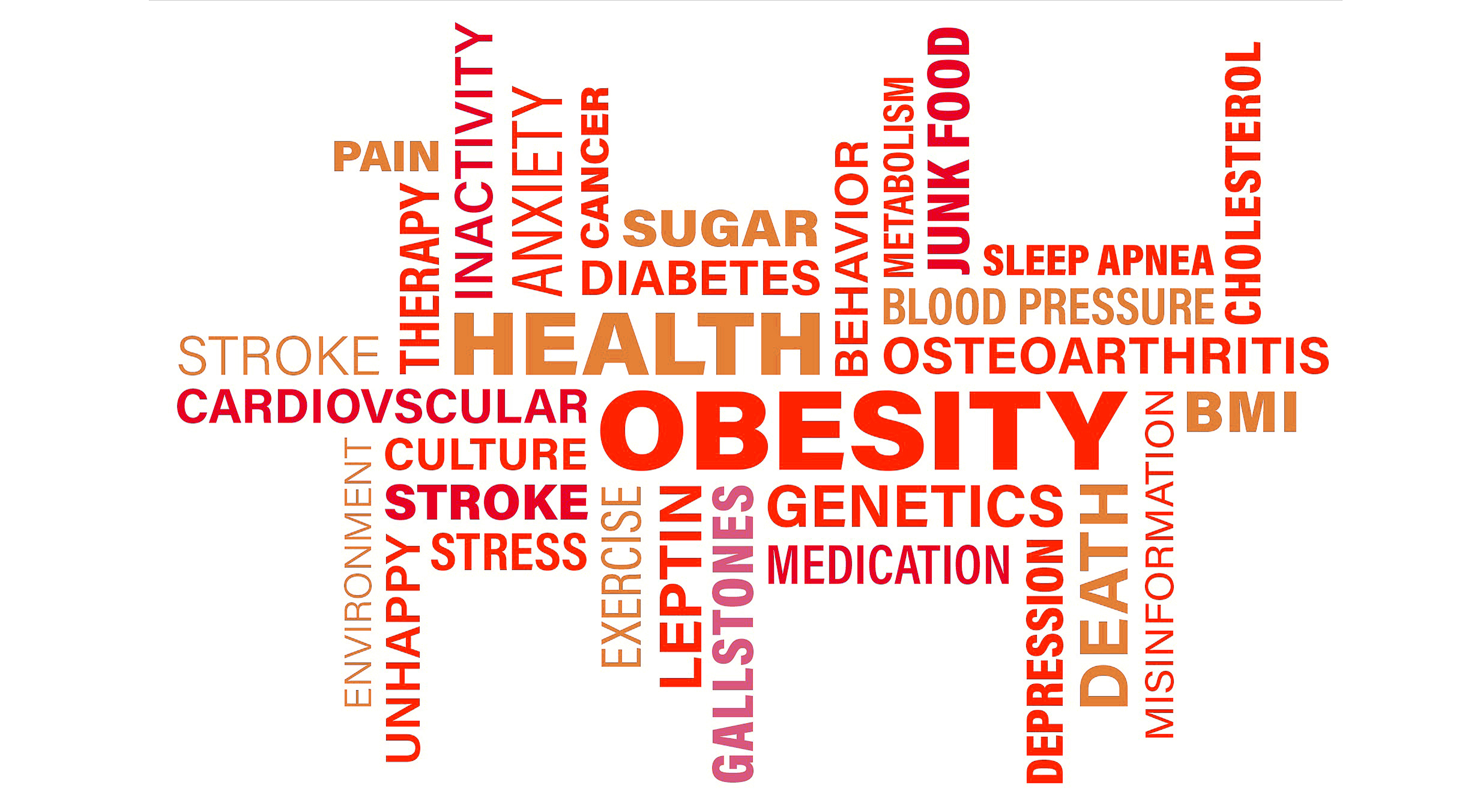 ¿Cuándo se diagnostica la obesidad?