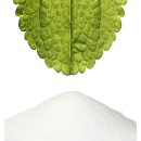 Stevia em Pó | Extrato de Stevia Puro | Rebaudiosideo A 60% | Colher Doseadora Incluída | 100g