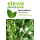 Semillas de Stevia | Stevia rebaudiana | Hoja de miel - Hierba dulce | 1 x 100 semillas