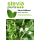 10 x 100 Stevia Samen | Stevia rebaudiana | Honigblatt - Süßkraut